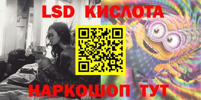 прущие грибы Заволжье