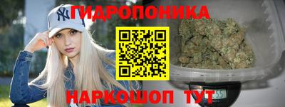 a pvp Заводоуковск