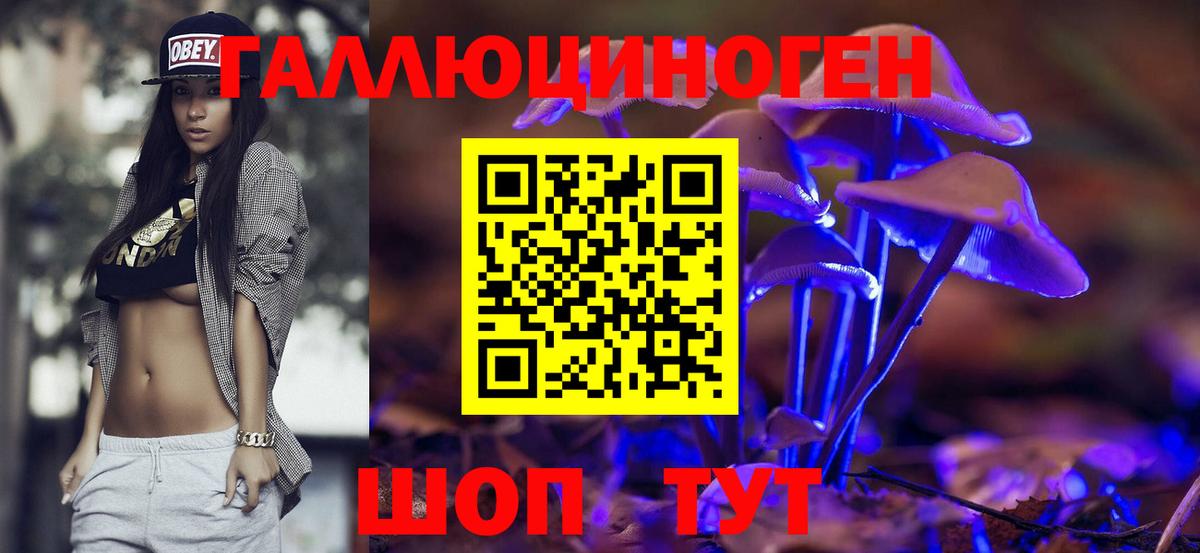 Галлюциногенные грибы Psilocybine cubensis Мончегорск