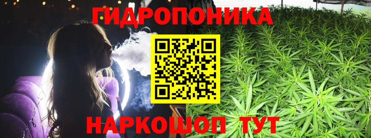 Шишки марихуана SATIVA & INDICA  Вход с VPN  Мончегорск  Бошки марихуана OG Kush  Бошки Шишки OG Kush 